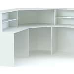 Ресепшен Рейна №13 BMS - Фото 4