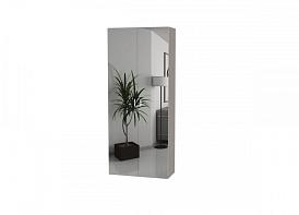 Распашной шкаф Bauhaus 8-2 BMS(Белье - Платье с полкой (2)) (900х2500х600)