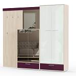 Прихожая Ева Д11 BMS - Фото 7